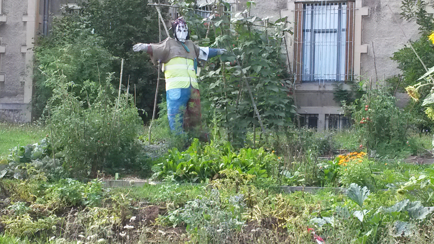 epouvantail 2017 08 16 1