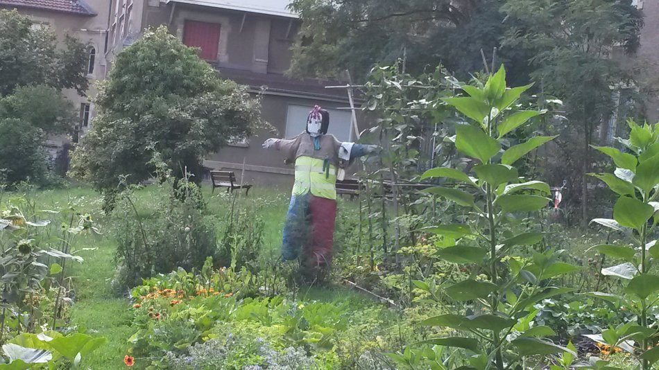 epouvantail 2017 08 16 3