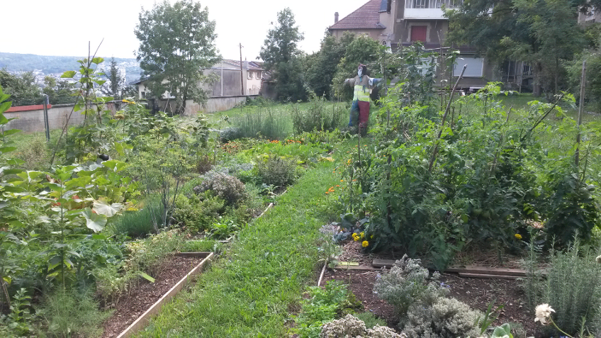 epouvantail 2017 08 16 5