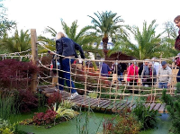 jardin ephemere 2017 6pt