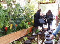 jardin ephemere 2017 8pt