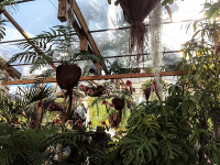 jardin ephemere 2017 9pt