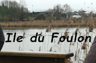 Marche du mercredi : l’île du Foulon